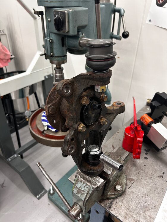 IMG_6258.jpeg
