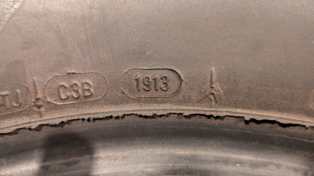 PXL_20260824_174617156.MACRO_FOCUS.jpg